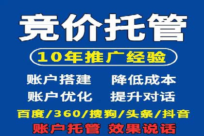 竞价排名案例：优化广告预算分配